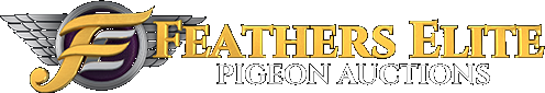 Feathers Elite Pigeon Auctions